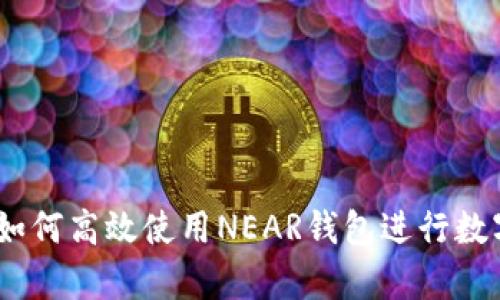 全面解析：如何高效使用NEAR钱包进行数字资产管理