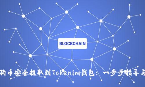 如何将狗狗币安全提取到Tokenim钱包: 一步步指导与注意事项