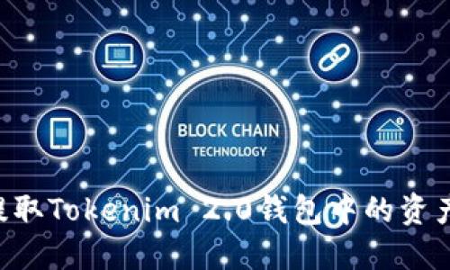 如何成功提取Tokenim 2.0钱包中的资产：全面指南