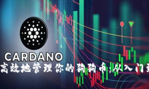 briaoti如何安全高效地管理你的狗狗币：从入门到进阶的全面指南