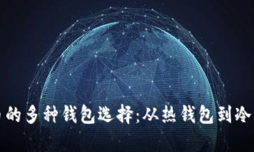 适合存储狗狗币的多种钱包选择：从热钱包到冷钱包的全面指南