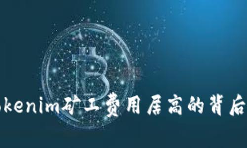 深入解读Tokenim矿工费用居高的背后原因与策略