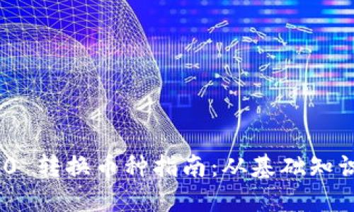 Tokenim 2.0 转换币种指南：从基础知识到操作细节