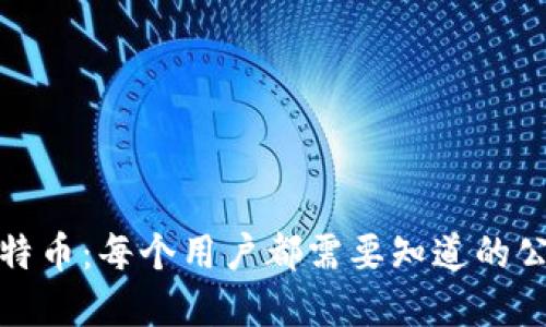 深入了解比特币：每个用户都需要知道的公开钱包地址