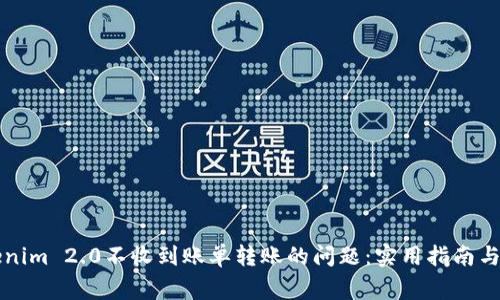 如何解决Tokenim 2.0不收到账单转账的问题：实用指南与常见故障排查