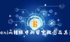 详解Tokenim转账中的带宽概念及其影响因素