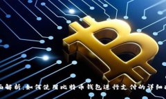 全面解析：如何使用比特币钱包进行支付的详细