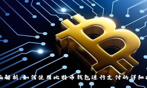 全面解析：如何使用比特币钱包进行支付的详细指南
