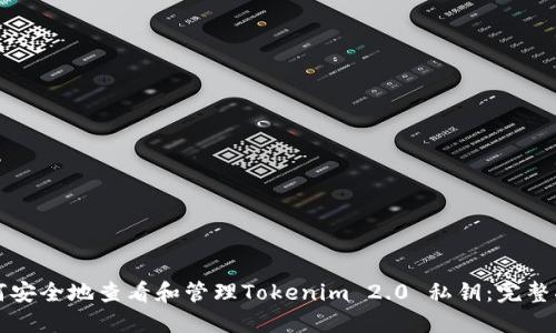 如何安全地查看和管理Tokenim 2.0 私钥：完整指南