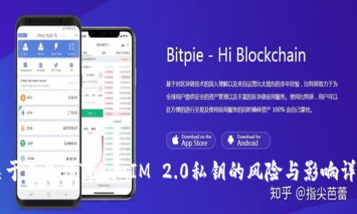 关于不备份TokenIM 2.0私钥的风险与影响详解