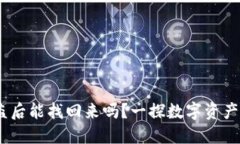 Tokenim资产被盗后能找回来吗？一探数字资产安全