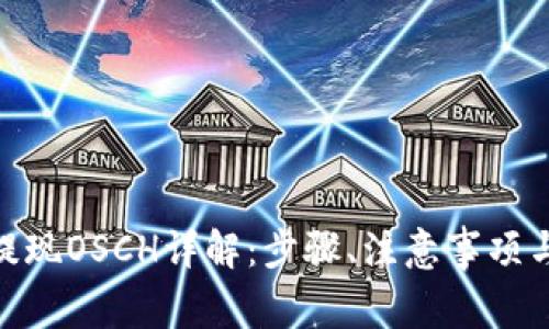 Tokenim 2.0提现OSCH详解：步骤、注意事项与常见问题解答