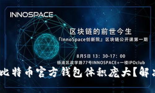 深入探讨：为什么比特币官方钱包体积庞大？解决方案与用户选择