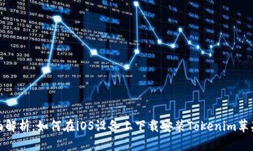 全面解析：如何在iOS设备上下载安装Tokenim苹果版
