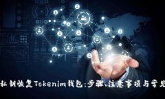 如何通过私钥恢复Tokenim钱包：步骤、注意事项与