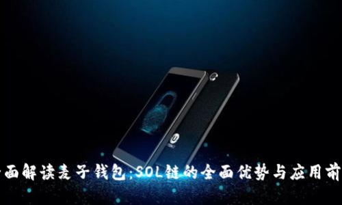 全面解读麦子钱包：SOL链的全面优势与应用前景