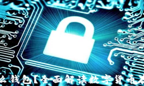 
屎币放什么钱包？全面解读数字货币存储与选择