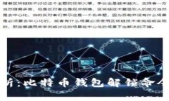 : 全面解析：比特币钱包解锁命令及其应用