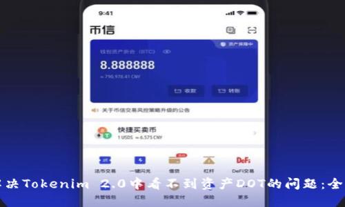 如何解决Tokenim 2.0中看不到资产DOT的问题：全面指南
