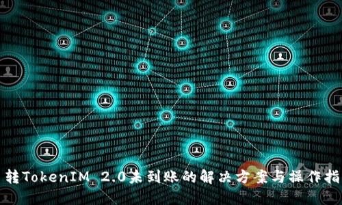 : 转TokenIM 2.0未到账的解决方案与操作指南