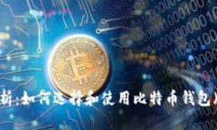全面分析：如何选择和使用比特币钱包（Test）？
