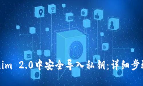 如何在Tokenim 2.0中安全导入私钥：详细步骤与最佳实践