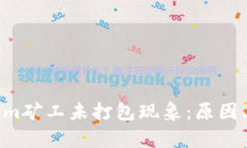 深入解析Tokenim矿工未打包现象：原因、影响与解决方案