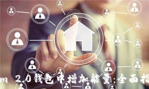  
如何在Tokenim 2.0钱包中增加能量：全面指南与实用技巧
